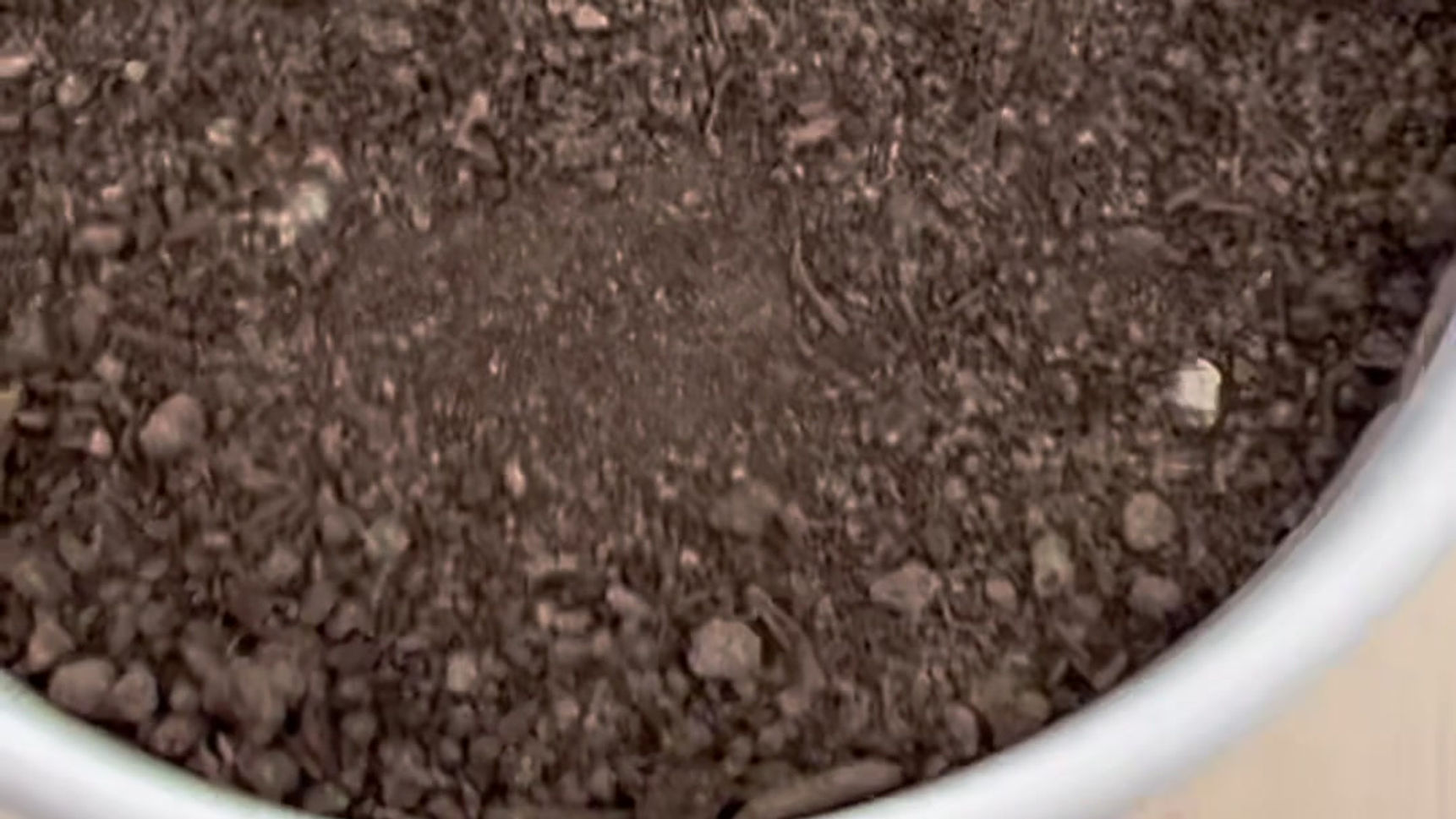 Laughing Soil